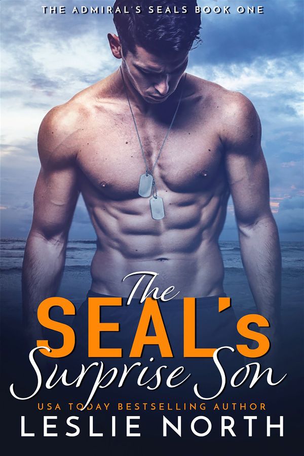 The SEAL's surprise son | The Admiral's SEALs #1 | Leslie North