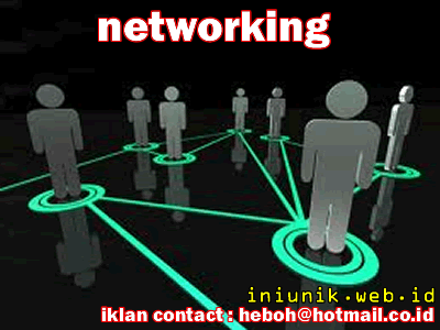 6 Alasan Pentingnya Networking - www.iniunik.web.id