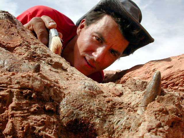 Палеонтолог Пол Серено в действии. (Университет штата Орегон)