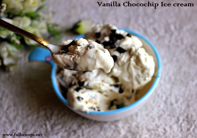 Vanilla Chocolate Chip Ice Cream