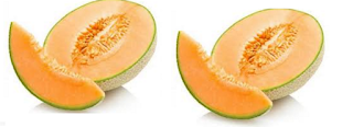 Musk Melon Seeds meaning in English, hindi, telugu,tamil,marathi,Gujrathi,Malayalam,Kannada