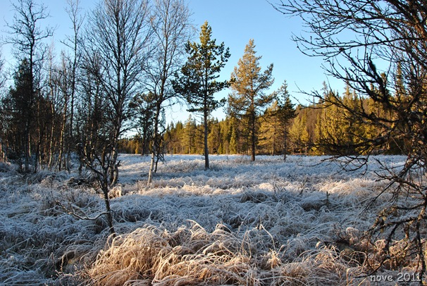 Berit og Kango 042