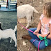 California Woman Sues State Fair After Her 9-Year-Old Daughter's Pet Goat Was Sold and Barbecued