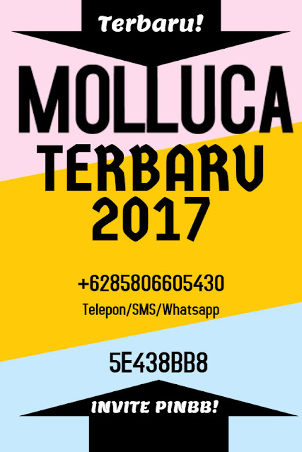 Tas Molluca 2017, Katalog Molluca 2017