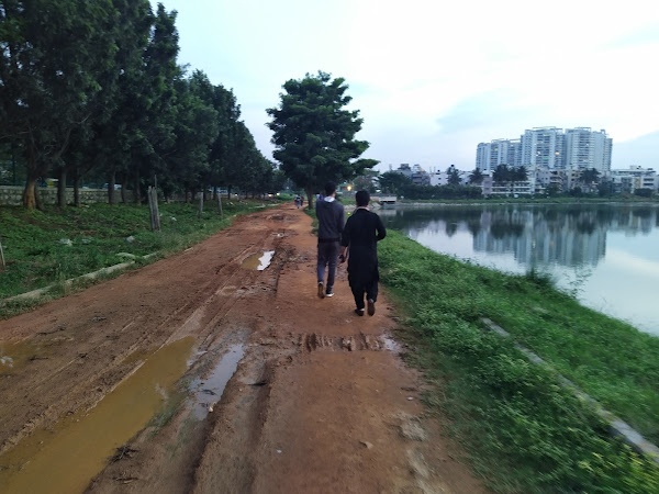 Puttenahalli lake , Bengaluru scenic views 4