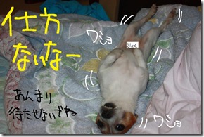 今日カズ１０１００４　３