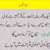 Jokes Urdu Funny Of HusbAnd Wife Funny 2013 Sms English With Pictures On Zardari Images Lauguage 