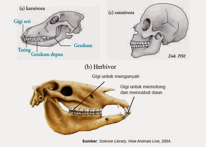 Biologi Education