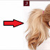 7 kinds of ponytail, for all occasions!
