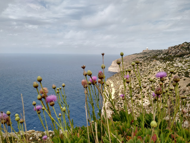 Bronze Age settlement, Dingli Cliffs - Sincerely  Loree