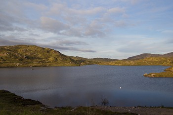 IMG_2491
