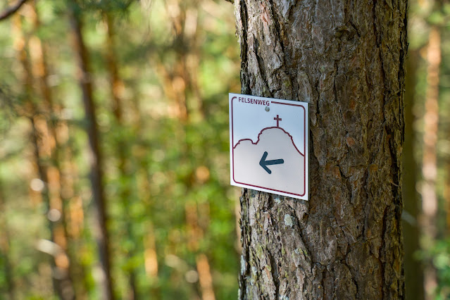 Felsenweg Gossersweiler-Stein | Wanderung Südliche Weinstrasse - Pfälzerwald 05