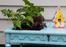 The Coffee Table Planter