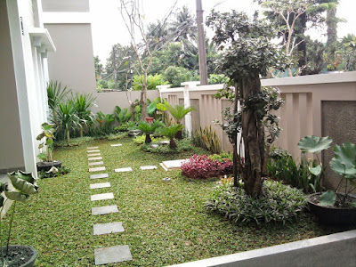 TUKANG TAMAN PROFESIONAL