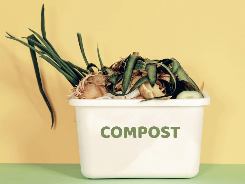 Composting for beginners