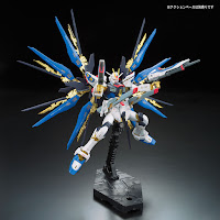 Bandai RG 1/144 Strike Freedom Gundam  English Manual & Color Guide