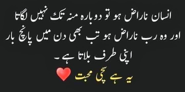 Urdu Qoutes || best urdu Qoutes collection