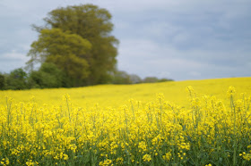 Norfolk countryside landscape photographs 2015