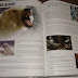 Polar Bears