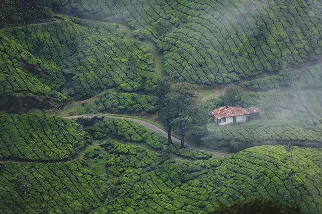 Munnar