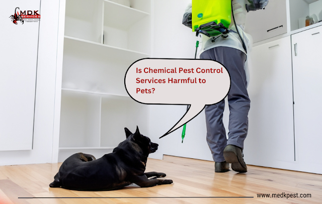 A dog is watching how a an agent is doing pest control services at his home