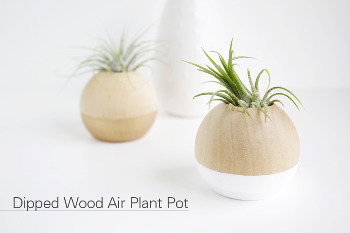 12 Minute DIY // Dipped Wood Air Plant Pot