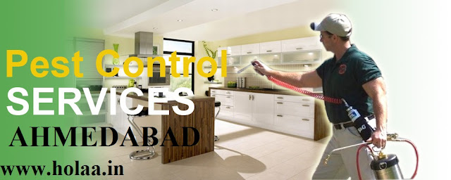 Pest Control Services in Ahmedabad