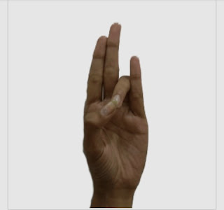 Yoga Mudra benefits.