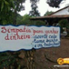 Exibir álbum