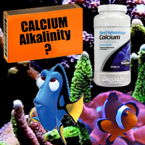 Calcium, Reef Advantage, Balling Method for marine aquarium chemistry