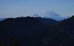 Mt. Rainier