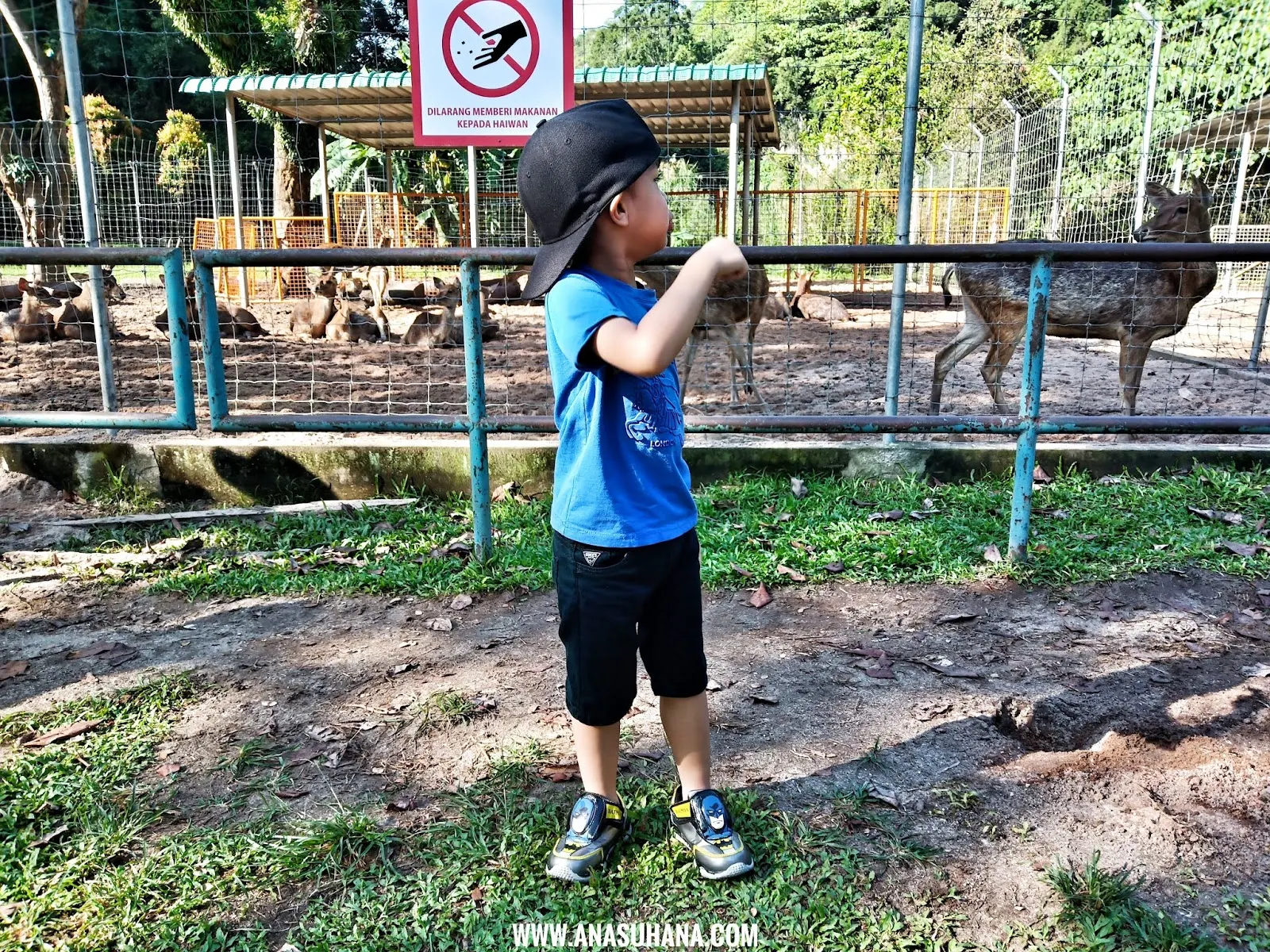  Gunung Lang, Ipoh