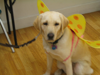 Poppy sitting with her flower costume on her back