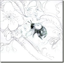 hyp thumb  bg