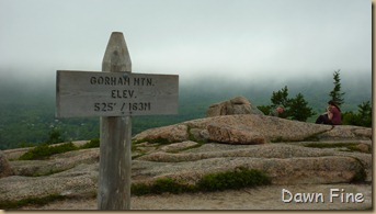 Gorham mt hike_073