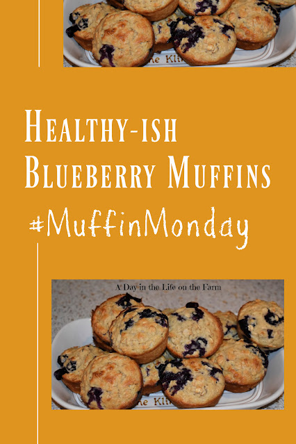 Blueberry Muffins pin