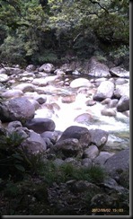 IMAG0039 (Small)