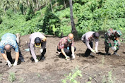 Kampung Tangguh Polres Bitung di Kelurahan Kasawari Panen 500 Pohon Singkong