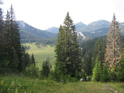 Velki Lubenovac