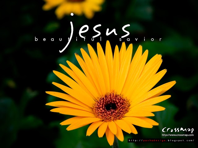 Flower HD Wallpaper Jesus Beautiful Name 