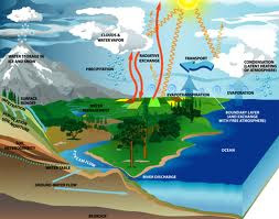 Oxygen cycle