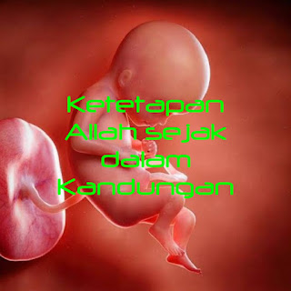 Ketetapan Allah sejak dalam kandungan