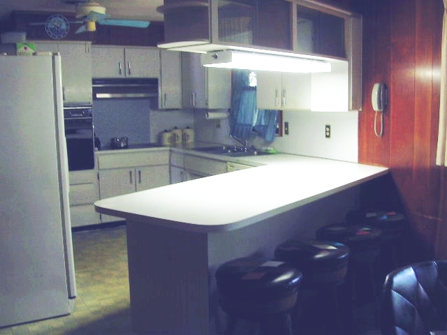 Fix The Plumbing In The Kitchen And Main Bathroom Tear Out The Carpet