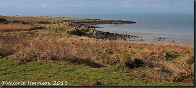 23-ardwell