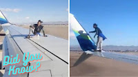 Airport Worker Arrested After Climbing Onto Plane Wing and Hitting It with Cone