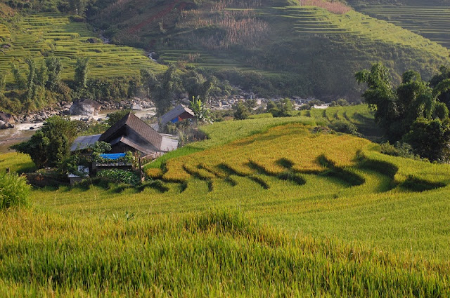 The most basic trip for those who first want to travel Sapa