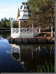 IMG_2650