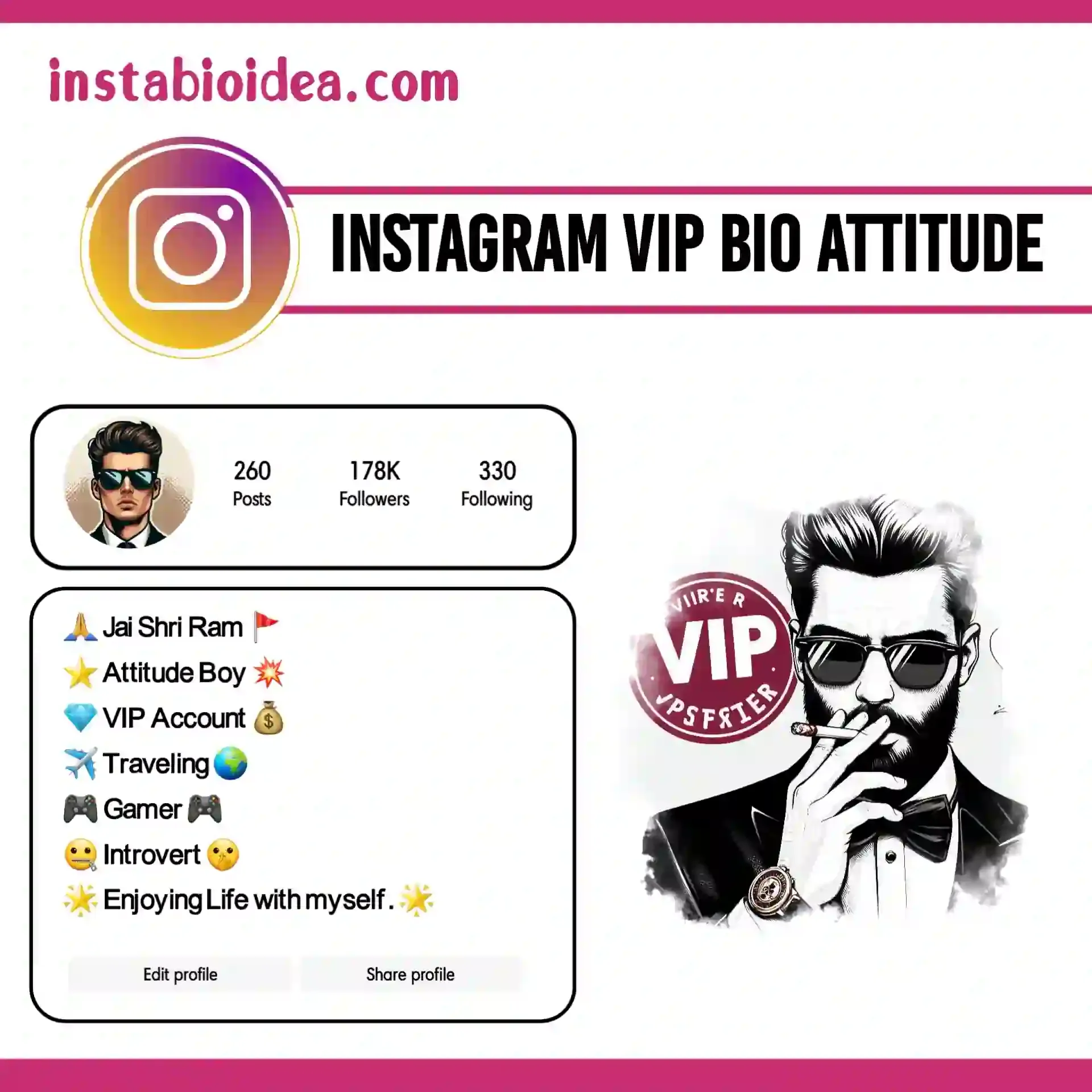 instagram vip bio attitude image