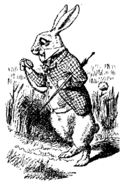 a picture of a white rabbit