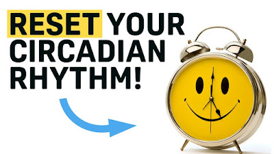 Circadian Rhythm